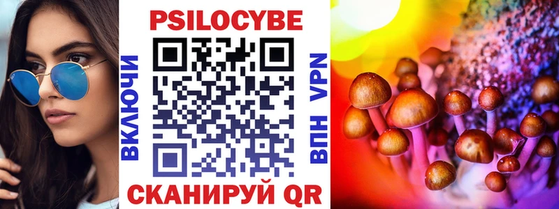 закладки  Кировград  Псилоцибиновые грибы прущие грибы 